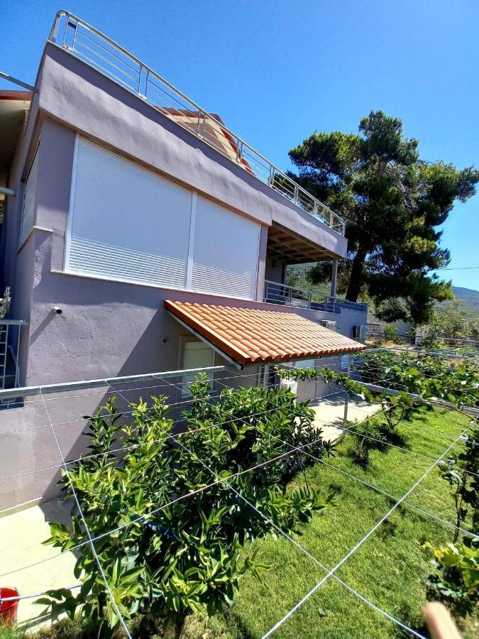 Guesthouse Eirini Porto Germeno Exterior photo